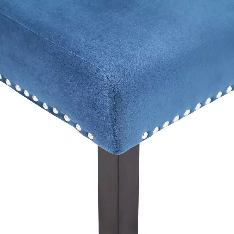 Chaises rembourrées en velours Nailhead Banforth (lot de 2) - iNSPIREQ
