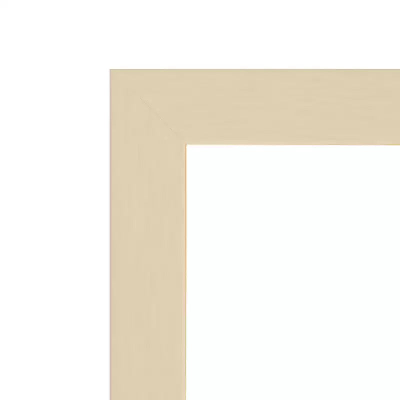 Amant Art Svelte Non-Beveled Wood Framed Wall Mirror