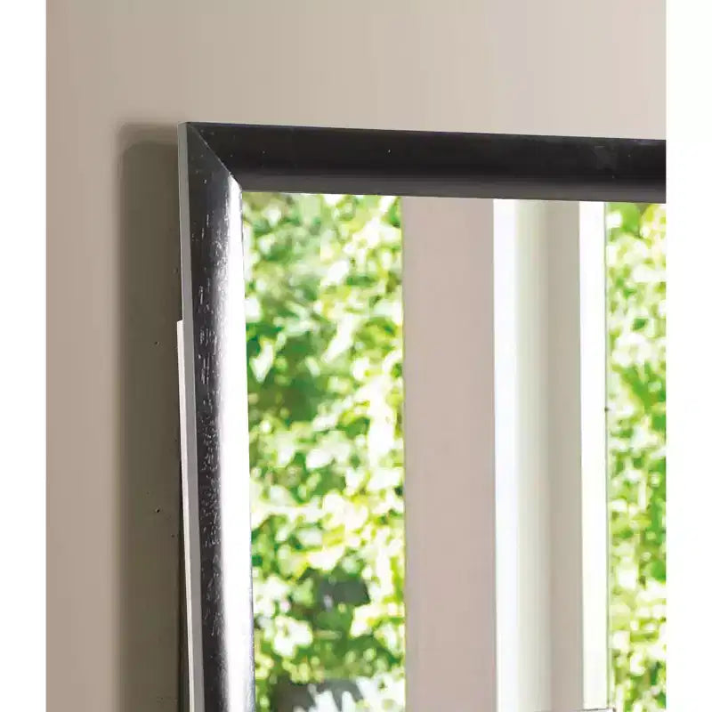 Passion Furniture Marilla 35 in. x 39 in. Modern Rectangle Framed Dresser Mirror