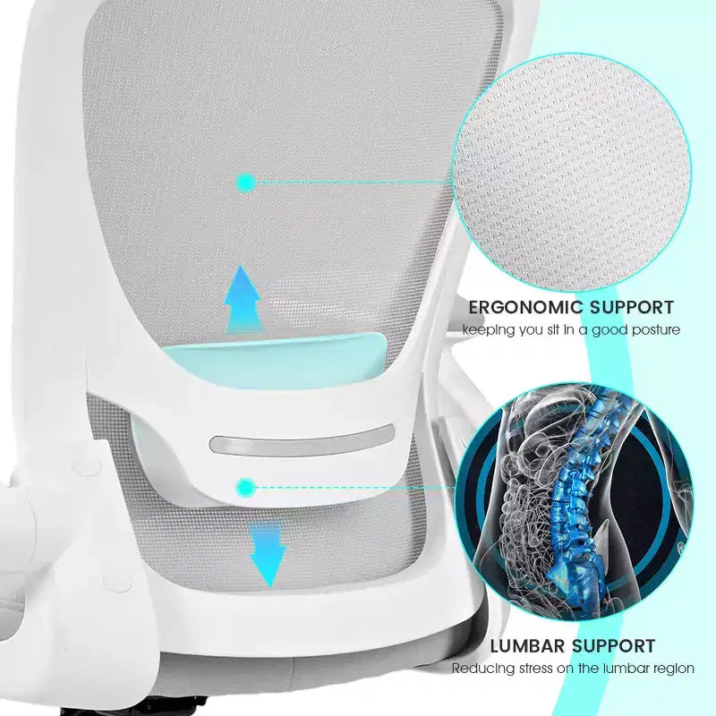 EUREKA ERGONOMIC ONYX Series, Ergonomic Office Chair