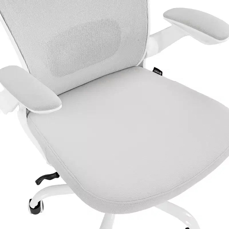 EUREKA ERGONOMIC ONYX Series, Ergonomic Office Chair