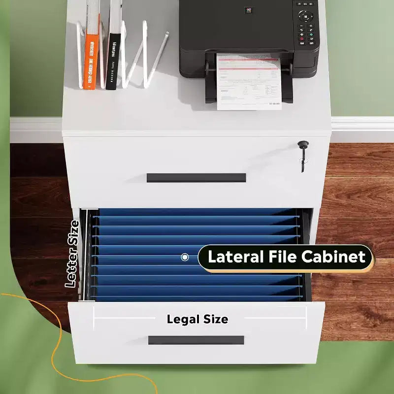 DEXYLLO 2-Drawer Wood Lateral File Cabinet with Lock, Filing Cabinet for Office & Home, Printer Stand with Anti-Tilt Mechanism