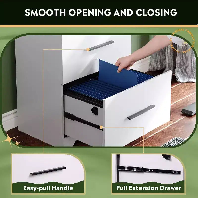 DEXYLLO 2-Drawer Wood Lateral File Cabinet with Lock, Filing Cabinet for Office & Home, Printer Stand with Anti-Tilt Mechanism