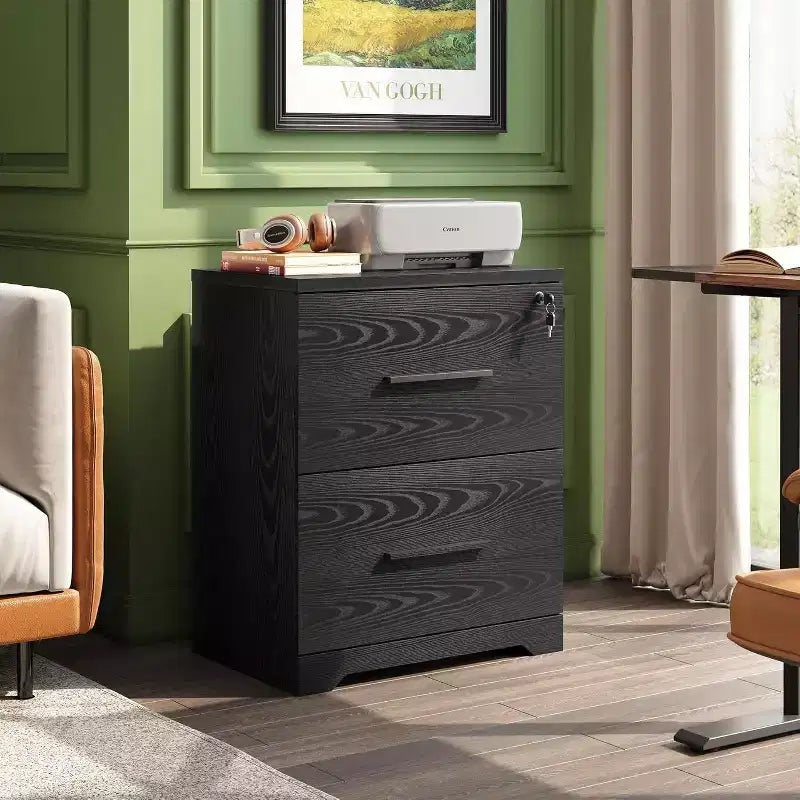 DEXYLLO 2-Drawer Wood Lateral File Cabinet with Lock, Filing Cabinet for Office & Home, Printer Stand with Anti-Tilt Mechanism